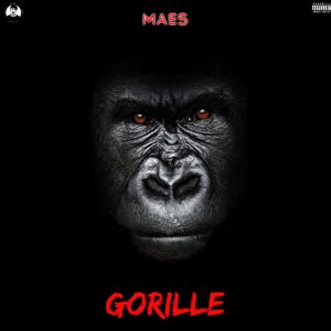 Maes – Gorille